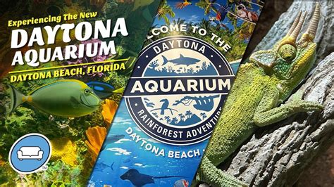 daytona beach aquarium opening times